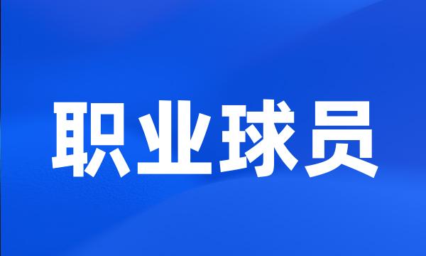 职业球员