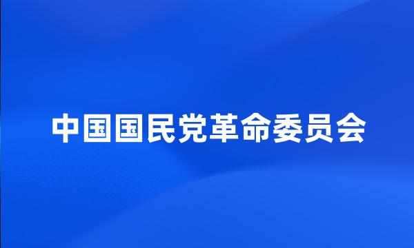 中国国民党革命委员会