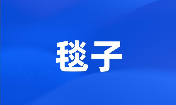 毯子