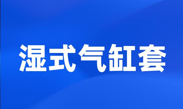 湿式气缸套