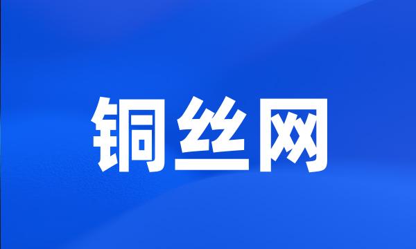 铜丝网