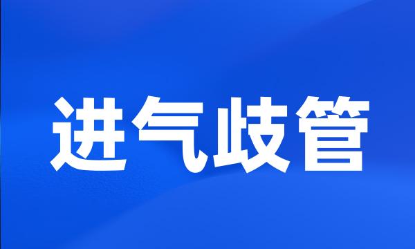 进气歧管