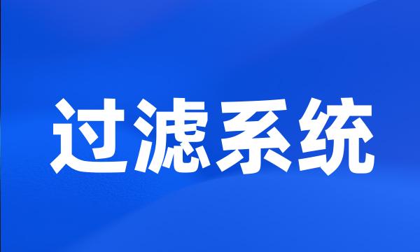 过滤系统