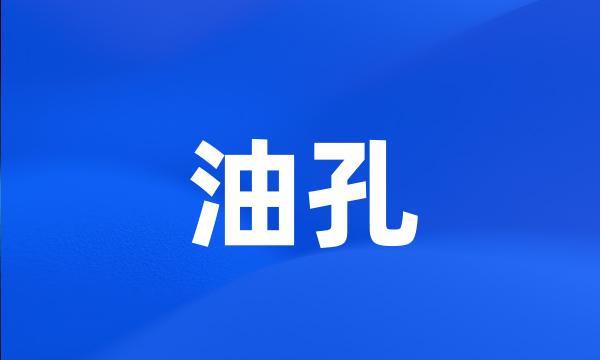 油孔