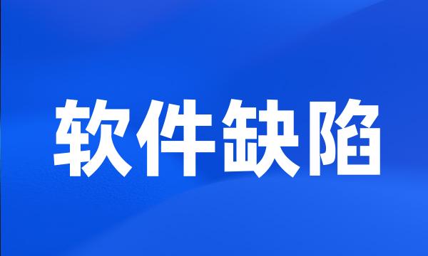 软件缺陷