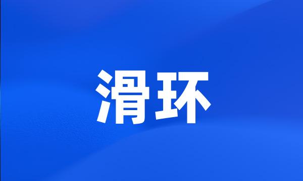 滑环