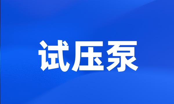 试压泵