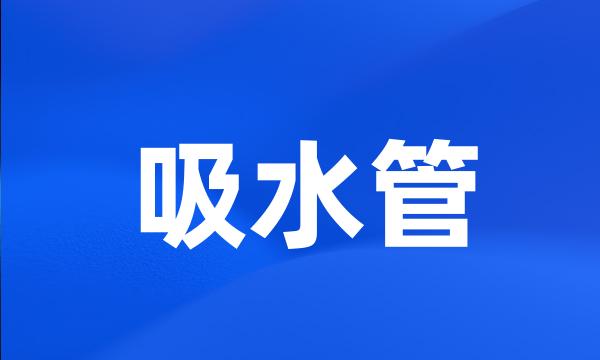 吸水管