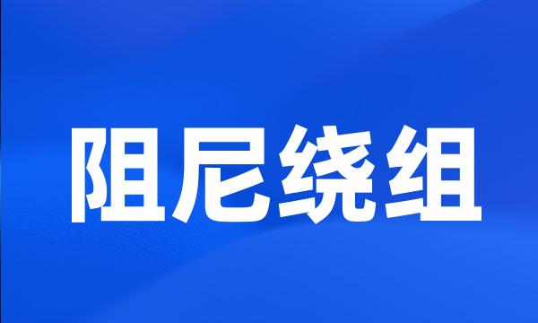 阻尼绕组