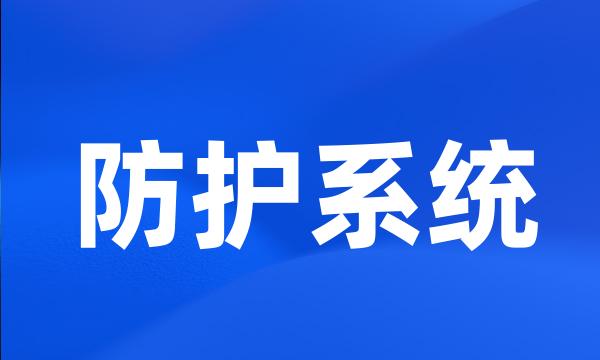 防护系统