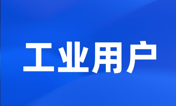 工业用户