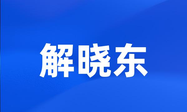 解晓东