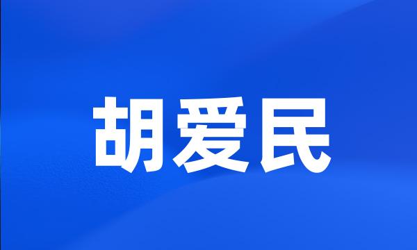 胡爱民