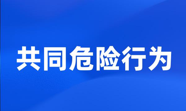 共同危险行为