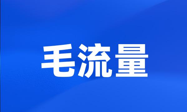 毛流量