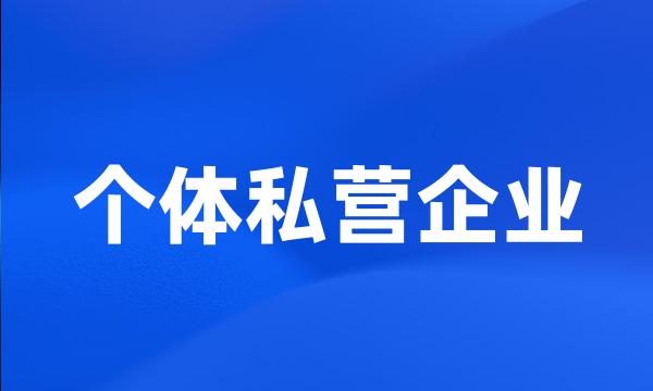 个体私营企业