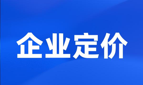 企业定价