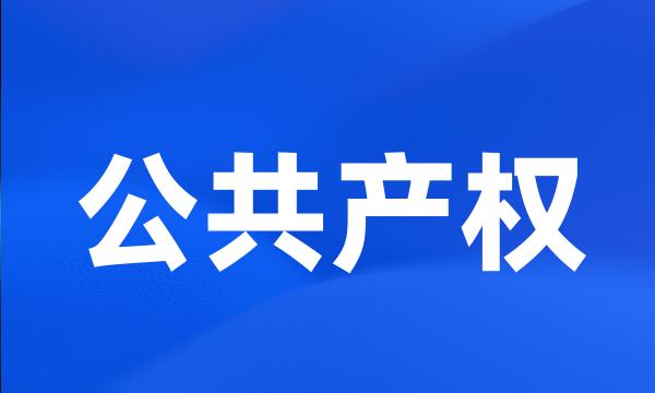 公共产权