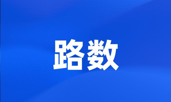 路数