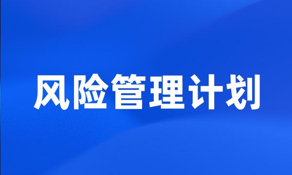 风险管理计划