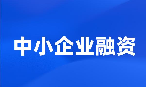 中小企业融资