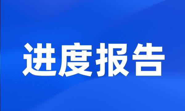 进度报告