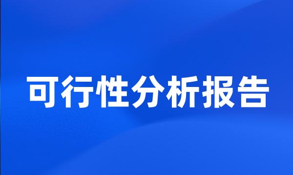 可行性分析报告