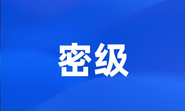 密级