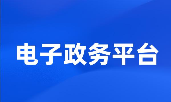 电子政务平台