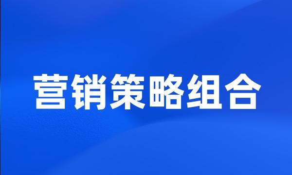 营销策略组合