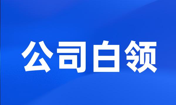 公司白领