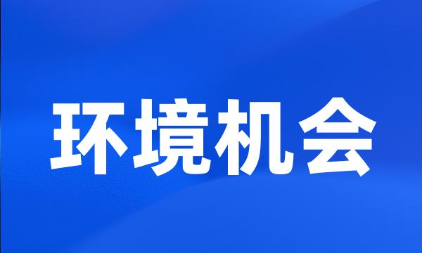 环境机会