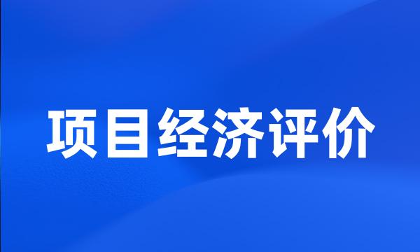 项目经济评价