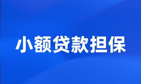 小额贷款担保