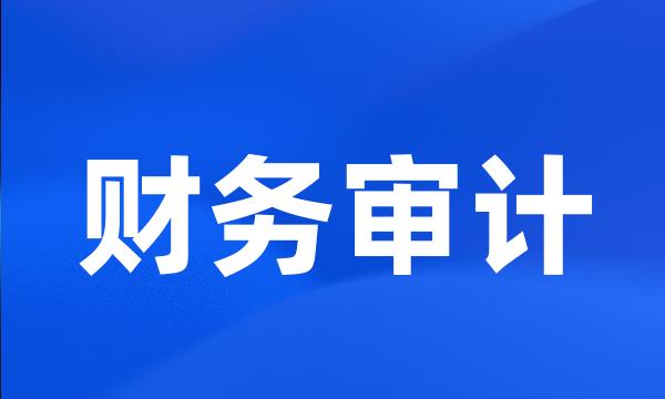 财务审计