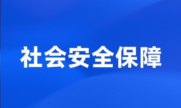 社会安全保障