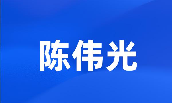 陈伟光