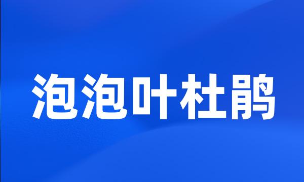 泡泡叶杜鹃