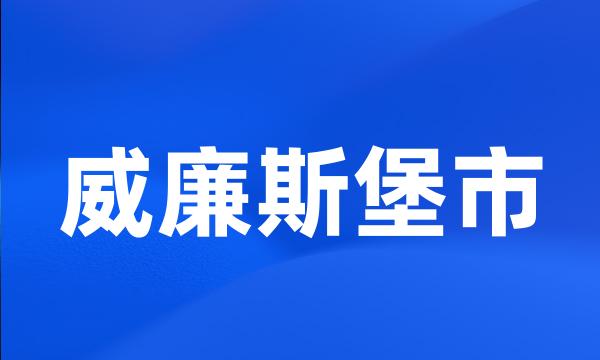 威廉斯堡市