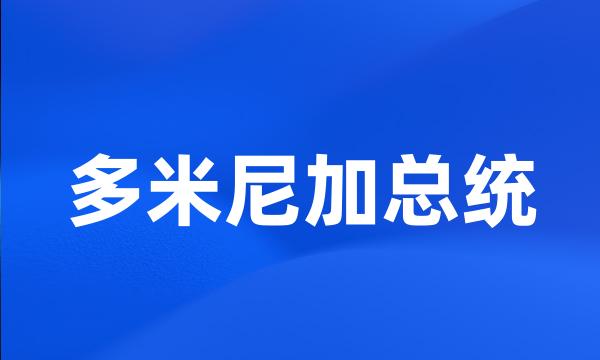 多米尼加总统