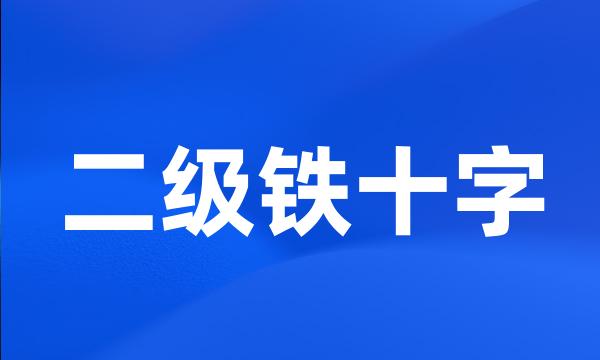 二级铁十字