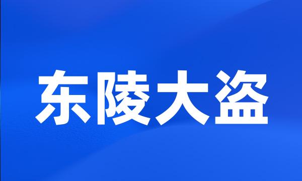 东陵大盗