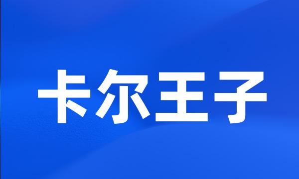 卡尔王子