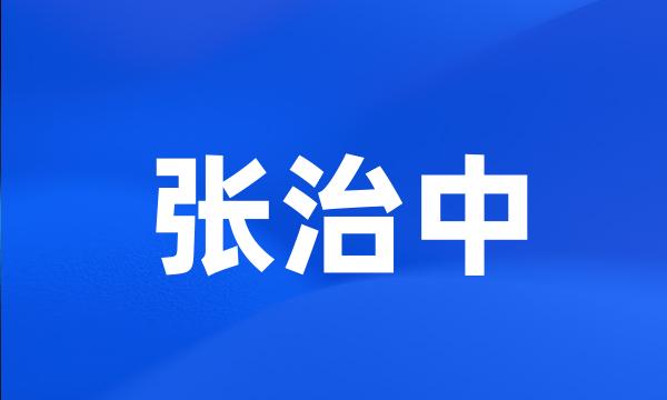 张治中