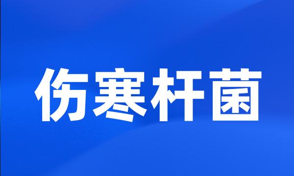 伤寒杆菌