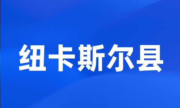 纽卡斯尔县