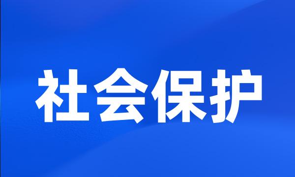 社会保护