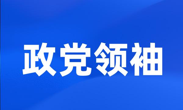 政党领袖