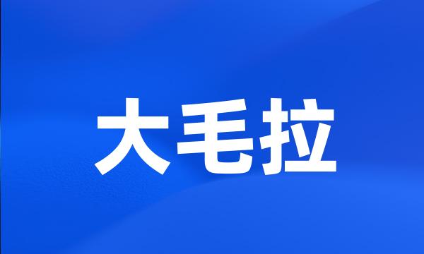 大毛拉