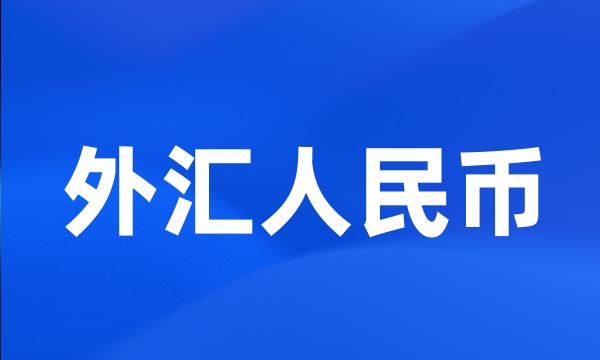 外汇人民币